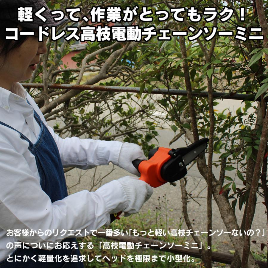 YARD FORCE（ヤードフォース） 高枝切り電動チェーンソー 軽量 女性用