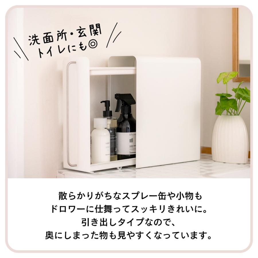 UtaU 調味料ラック 隠せる調味料ラック 2段 スリム スパイス UtaU 調味料ラック 隠せる調味料ラック 2段 スリム スパイス