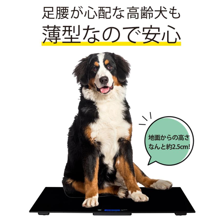 ペットくんBIG 大型犬 体重計 ペットスケール ペット君 BIG ビッグ bow&mew バウアンドミュー 大型ペットスケール 100g単位  最大100kg ビッグペットくん