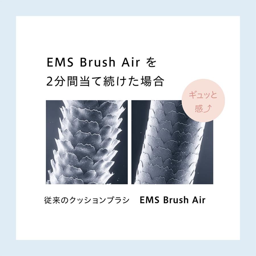 電気ブラシ EMSブラシ WAVE EMS 頭皮ケア ブラシエアー Brush Air
