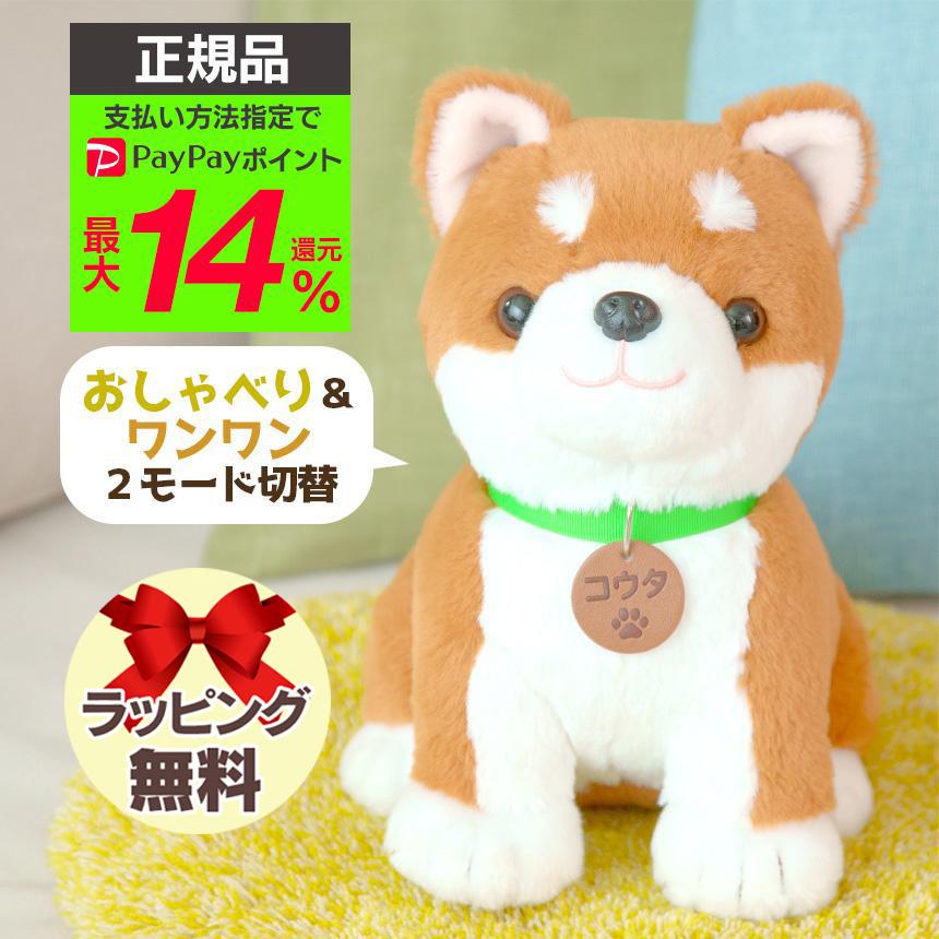 しばいぬコウタ ぬいぐるみ 美品 取説付 柴犬コウタ 音声認識人形 柴犬 ぬいぐるみ しばいぬコウタ