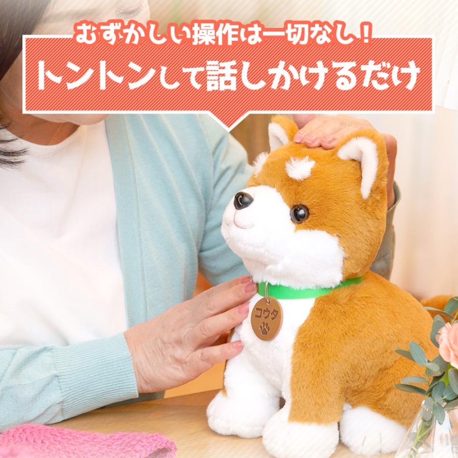 音声認識ぬいぐるみ　柴犬 コウタ しゃべる ぬいぐるみ 柴犬 音声認識ぬいぐるみ しばいぬコウタ