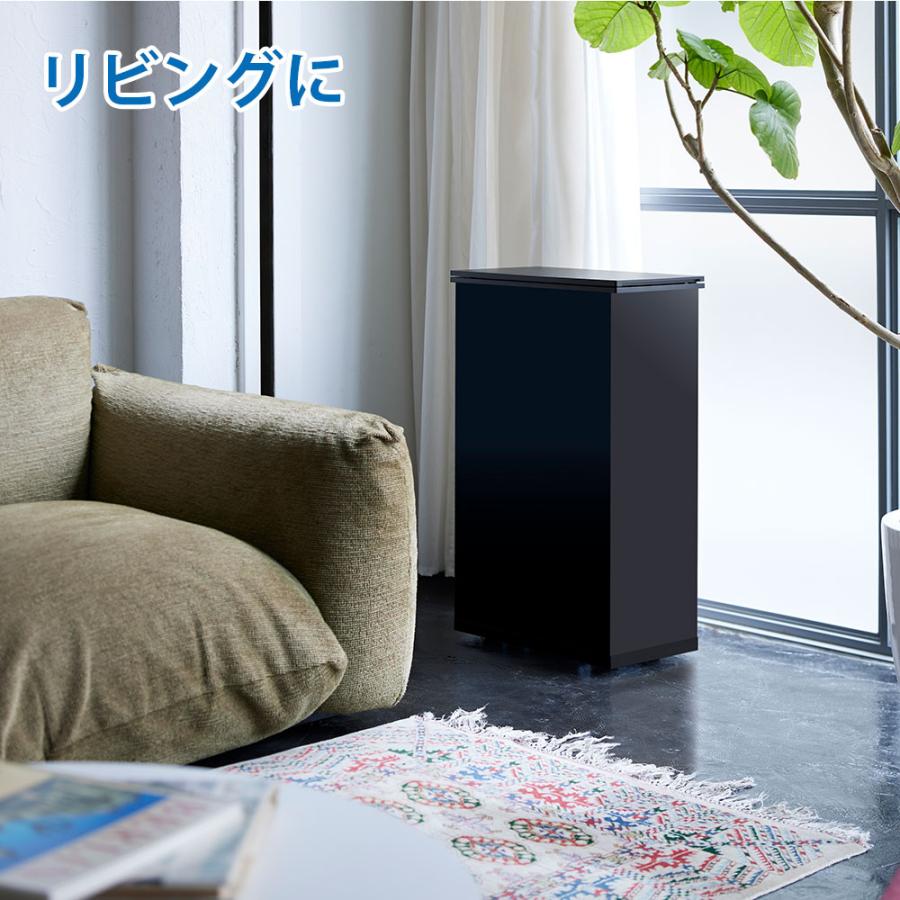 SANKA 冷やすゴミ箱 正規品 サンカ クリーンボックス CLEANBOX 20L