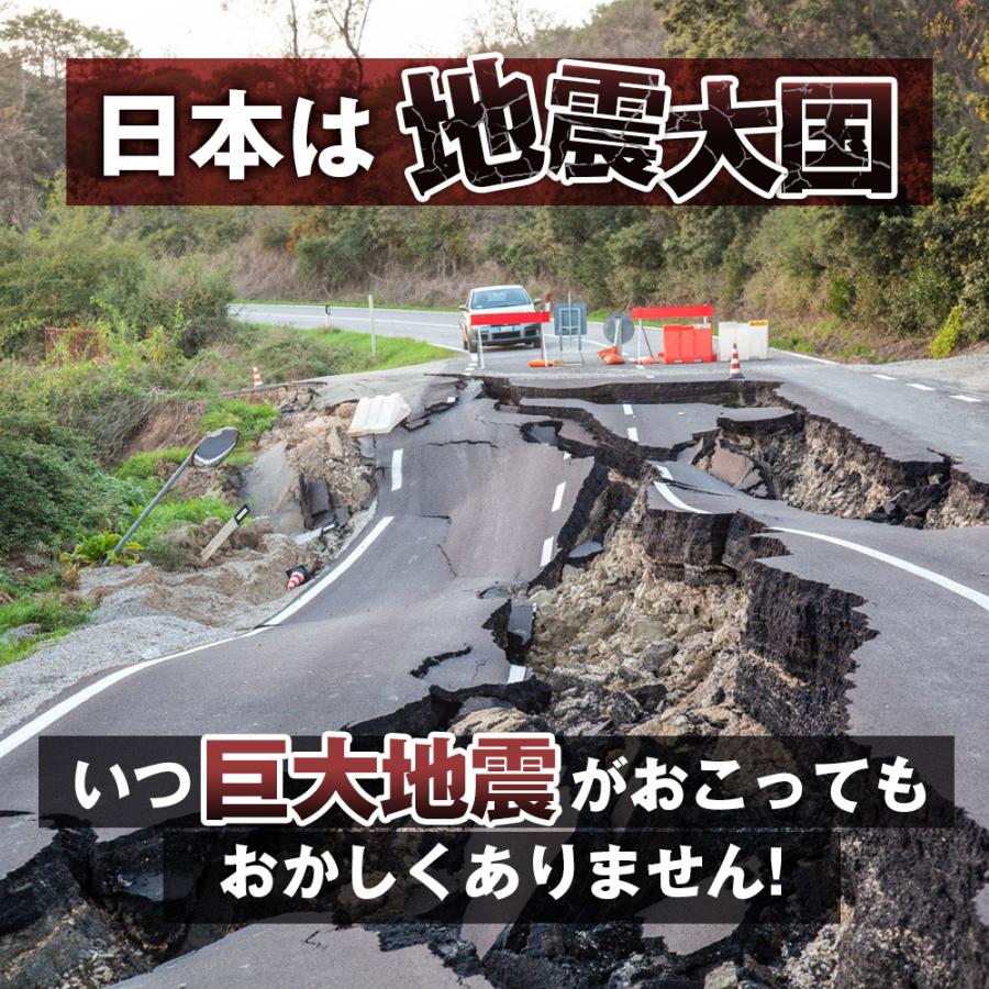 在庫限り 防災セット 防災リュック 72時間対応 防災用 2WAYバッグ【2人用】 非常用持ち出し袋 非常食 【STK】