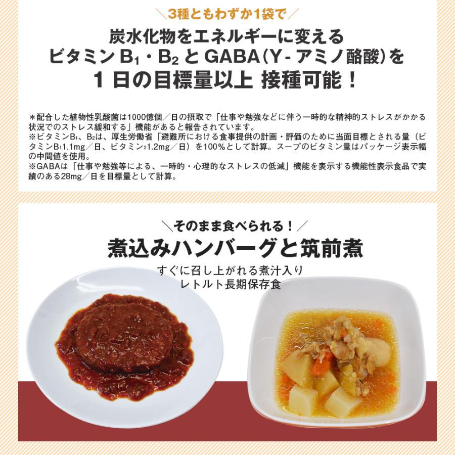 在庫限り 防災セット 防災リュック 72時間対応 防災用 2WAYバッグ【2人用】 非常用持ち出し袋 非常食 【STK】