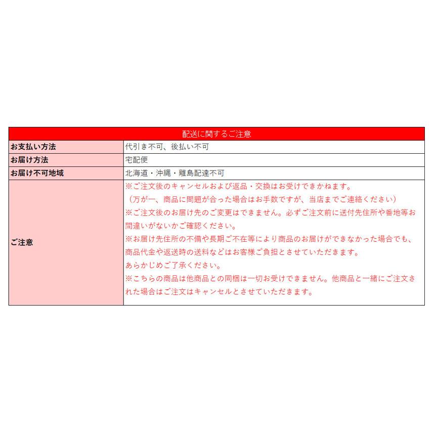 【直送】EKO ヒマラヤセンサービン【EK9339X-GMT-35L＋25L】 ゴミ箱 ダストボックス 60リットル 大容量 蓋付き_8