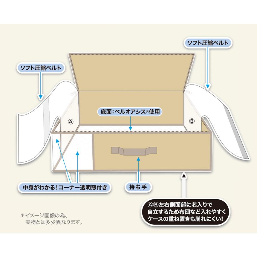 TEIJIN（テイジン） 乾っとデオケースライト 収納ケース 2025 ベージュ