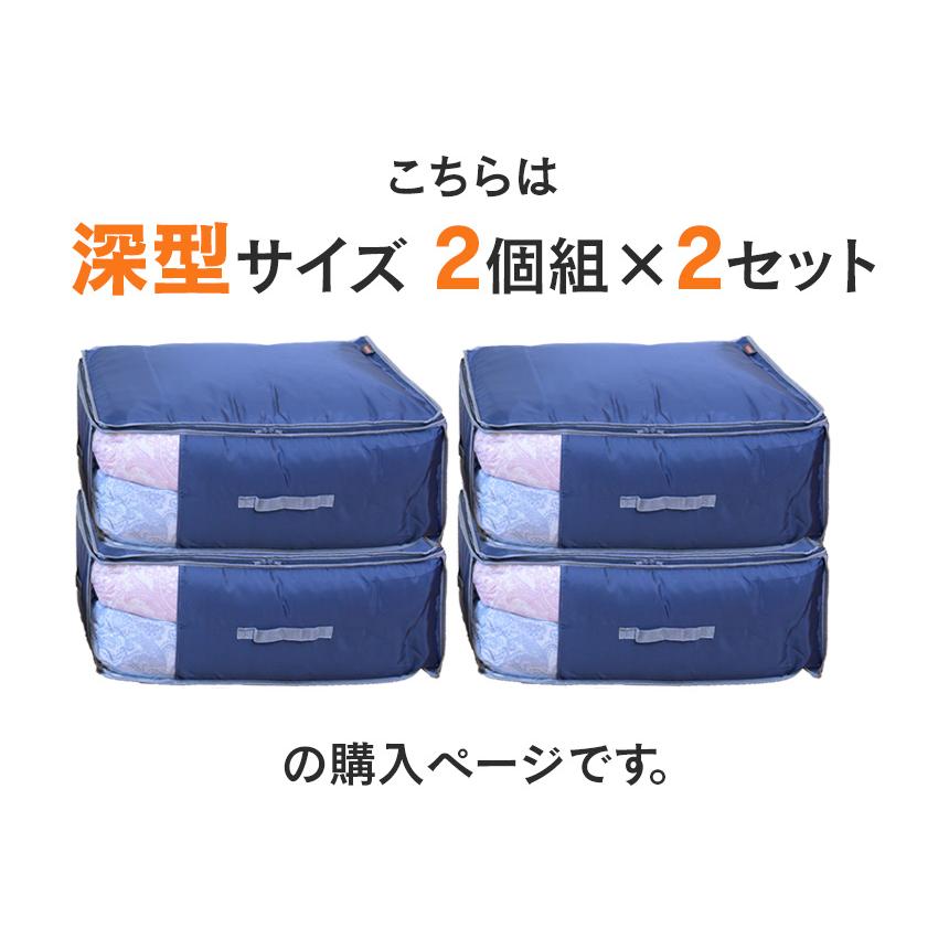 TEIJIN（テイジン） 乾っとデオケース ライト 2026 深型 収納ケース