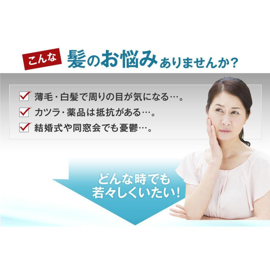 薄毛隠し 粉 20g ケース付き はげ隠し つむじはげ メンズ レディース 白髪隠し ウェルシー ウェルシークレット 無香料 日本製 お試し 1051 | ブランド登録なし | 01