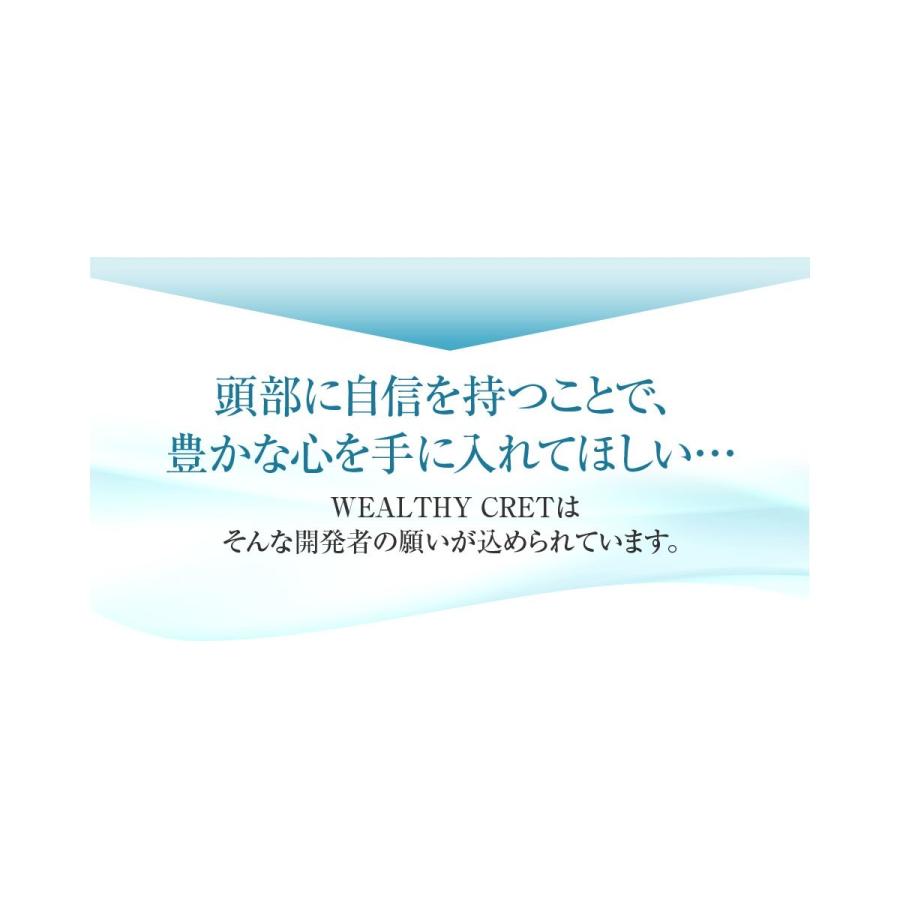 薄毛隠し 粉 20g ケース付き はげ隠し つむじはげ メンズ レディース 白髪隠し ウェルシー ウェルシークレット 無香料 日本製 お試し 1051 | ブランド登録なし | 06