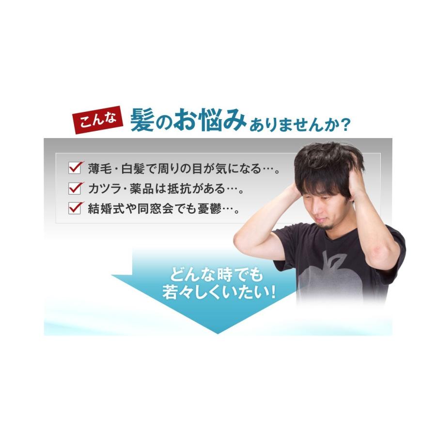 薄毛隠し はげ隠し つむじはげ メンズ レディース 白髪隠し てっぺんはげ 頭頂部 後頭部 はげ対策 若はげ対策 薄毛対策 1051-61 | ブランド登録なし | 01