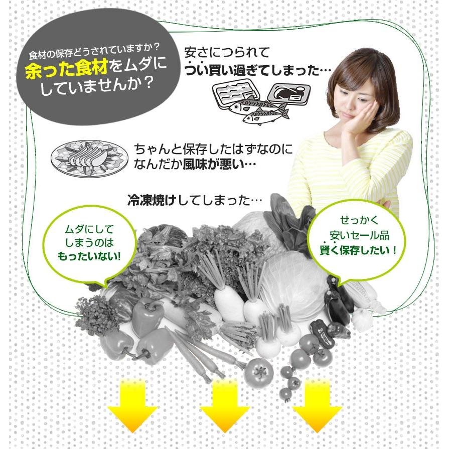 ワイドシステム 真空パック機 家庭用 真空パック器 真空パックん ワイドシステム 真空パック機 家庭用 真空パック器 真空パックん