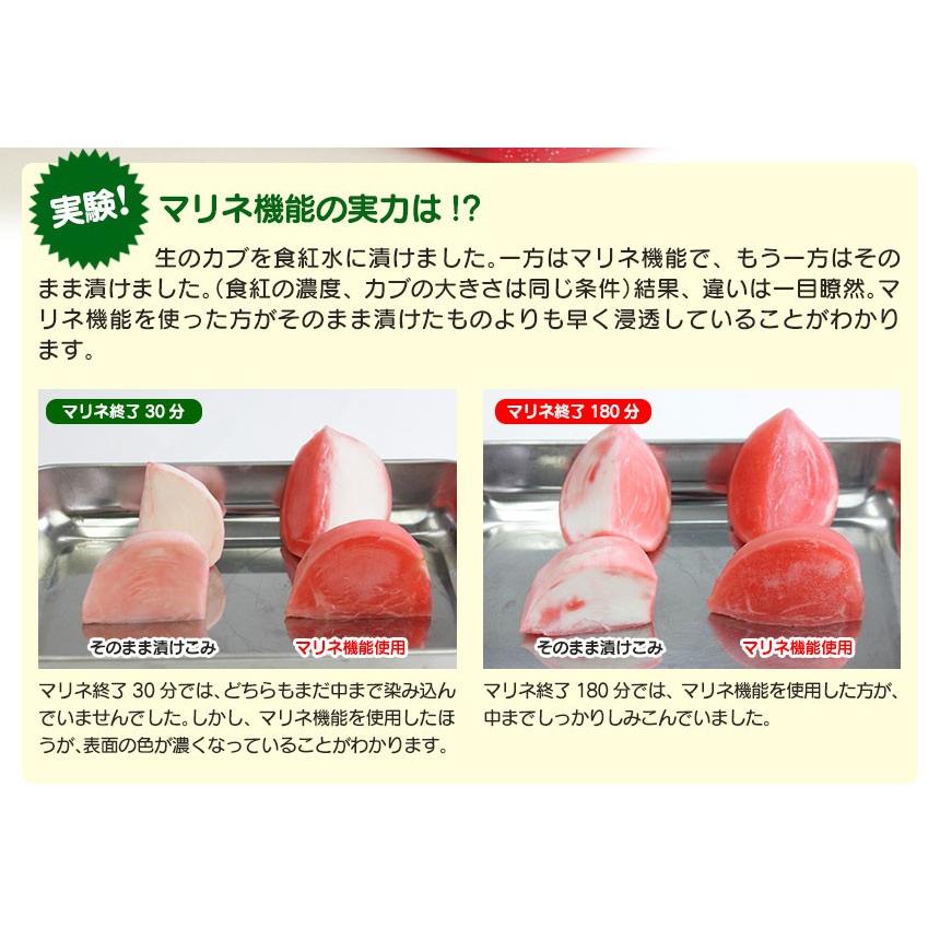 ワイドシステム 真空パック機 家庭用 真空パック器 真空パックん ワイドシステム 真空パック機 家庭用 真空パック器 真空パックん