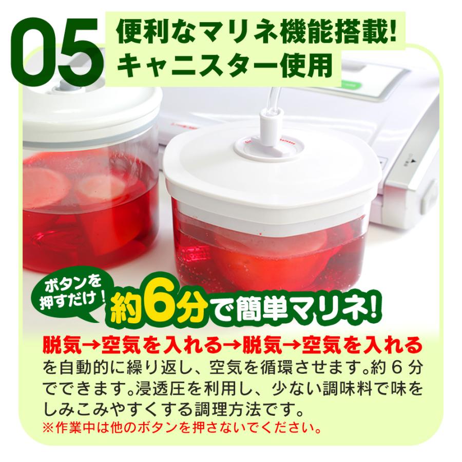 ワイドシステム 真空パック機 家庭用 真空パックんplus プラス ワイドシステム 真空パック機 家庭用 真空パックんplus プラス