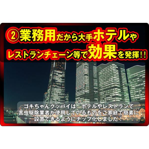 ゴキブリ退治 ゴキちゃんグッバイ ゴキブリ駆除 害虫駆除 ごきぶり ゴキブリ 3パックセット 6716 3 暮らしの幸便 通販 Yahoo ショッピング