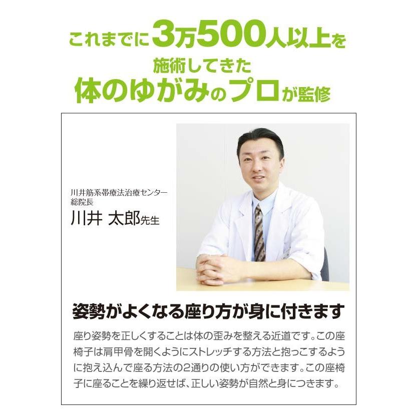 背筋がGUUUN 美姿勢座椅子 背筋が伸びる椅子 背筋がグーン 座椅子 授乳中 プロイデア PROIDEA 猫背 背筋 クッション 姿勢ケアの画像