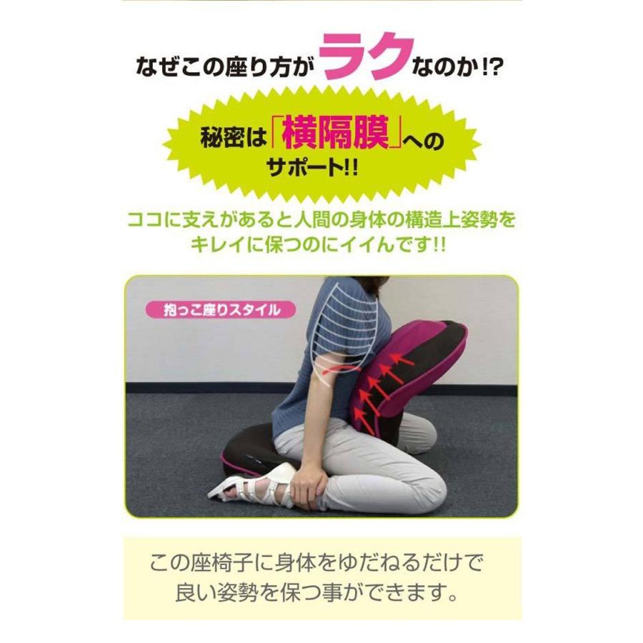 背筋がGUUUN 美姿勢座椅子 背筋が伸びる椅子 背筋がグーン 座椅子 授乳中 プロイデア PROIDEA 猫背 背筋 クッション 姿勢ケアの画像