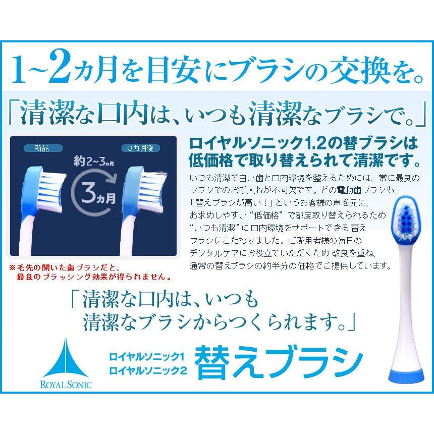 奇跡の歯ブラシ ソニック 本体+替えブラシ2本 電動セット 〈奇跡の歯ブラシ ソニック〉 本体＋交換用ヘッド5本