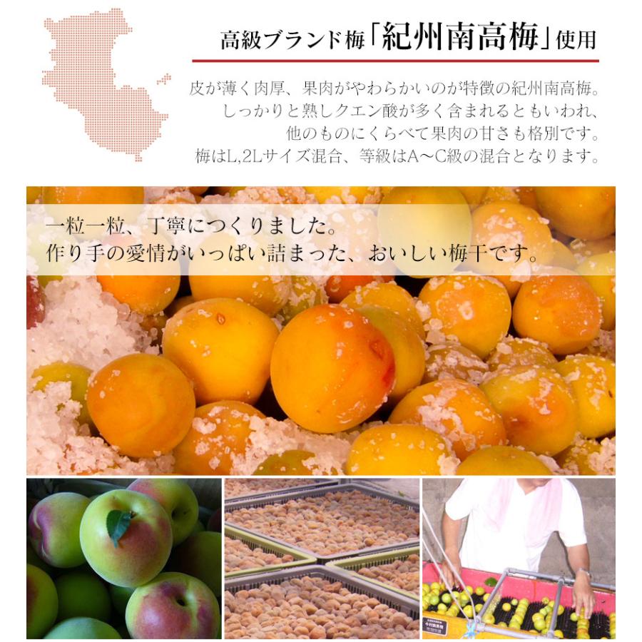 梅干し 梅干 減塩 塩分3% しそ しそ漬け 減塩梅干し 家庭用 南高梅 紀州産 高級 1.6kg 国産 和歌山 78930-1 | ブランド登録なし | 03