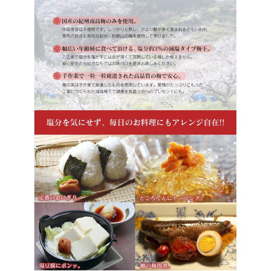 梅干し 梅干 減塩 塩分3% しそ しそ漬け 減塩梅干し 家庭用 南高梅 紀州産 高級 1.6kg 国産 和歌山 78930-1 | ブランド登録なし | 04
