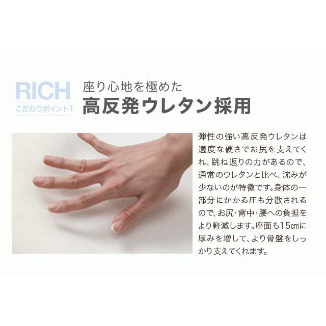 背筋がGUUUN 美姿勢座椅子 RICH 背筋が伸びる椅子 背筋がグーン リッチ 座椅子 授乳中 プロイデア PROIDEA 猫背 背筋 クッション 姿勢ケアの画像