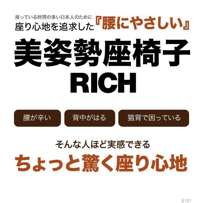 背筋がGUUUN 美姿勢座椅子 RICH 背筋が伸びる椅子 背筋がグーン リッチ 座椅子 授乳中 プロイデア PROIDEA 猫背 背筋 クッション 姿勢ケアの画像