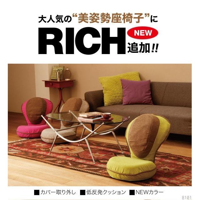 ドリーム 背筋がGUUUN 美姿勢座椅子 RICH 背筋が伸びる椅子 背筋 ドリーム 背筋がGUUUN 美姿勢座椅子 RICH 背筋が伸びる椅子 背筋