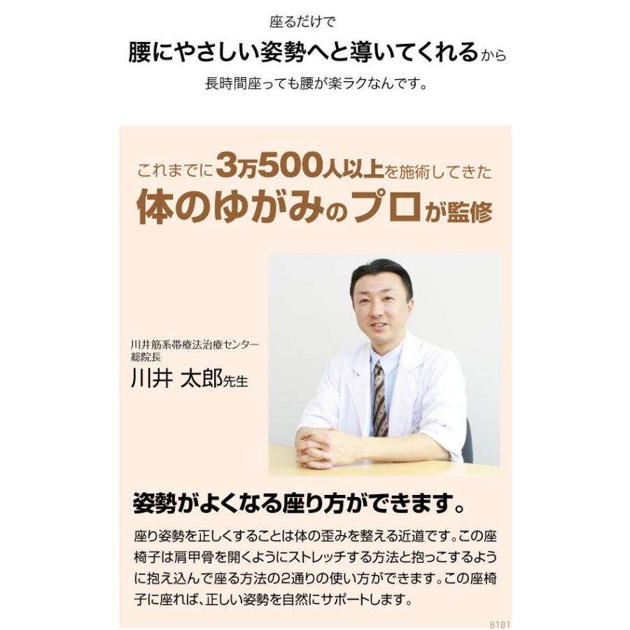ドリーム 背筋がGUUUN 美姿勢座椅子 RICH 背筋が伸びる椅子 背筋 ドリーム 背筋がGUUUN 美姿勢座椅子 RICH 背筋が伸びる椅子 背筋