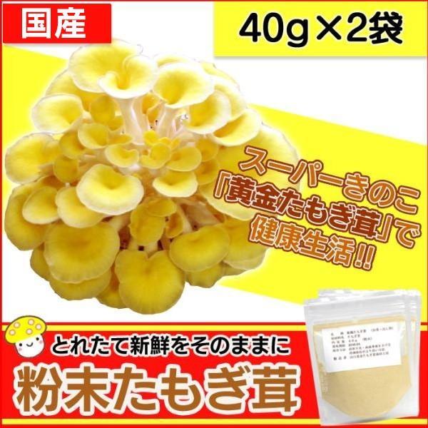 たもぎ茸 粉末 パウダー 黄金たもぎ茸 たもぎだけ タモギダケ 無添加 国産 日本製 40g 2袋 健康食品 健康キノコ レシピ紹介 出汁 だし 2 暮らしの幸便 通販 Yahoo ショッピング