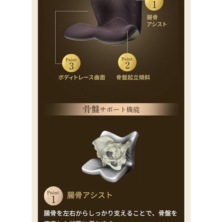 座椅子 スタイルプレミアム Style PREMIUM mtg 骨盤 姿勢ケア ボディ