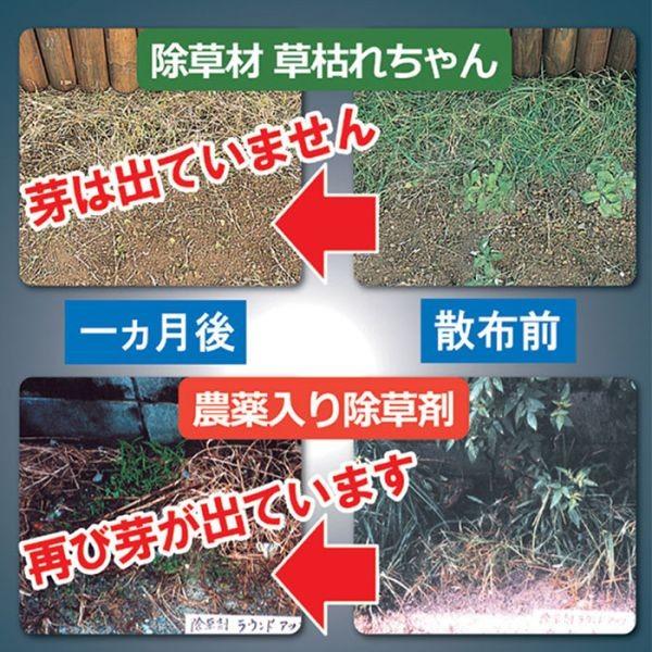 除草剤 強力 業務用 日本製  無農薬 安全 完全無農薬 2kg 強力 国産 日本製 雑草取り 道具 土 芝生 畑 草取り 草抜き｜wide｜03