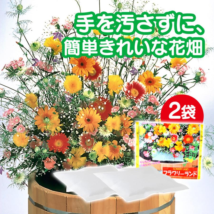 花の種 ブレンドパック フラワリーランド 2パック 秋蒔き 春蒔き 栽培 種まき 簡単 ガーデニング 庭造り 珍しい花の種 2 暮らしの幸便 通販 Yahoo ショッピング