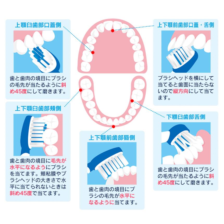 電動歯ブラシ 充電式 【替えブラシ10本付き】 音波振動歯ブラシ 音波歯ブラシ ロイヤルソニック 歯垢除去 本体 口臭対策 つるつる 76298-10｜wide｜15