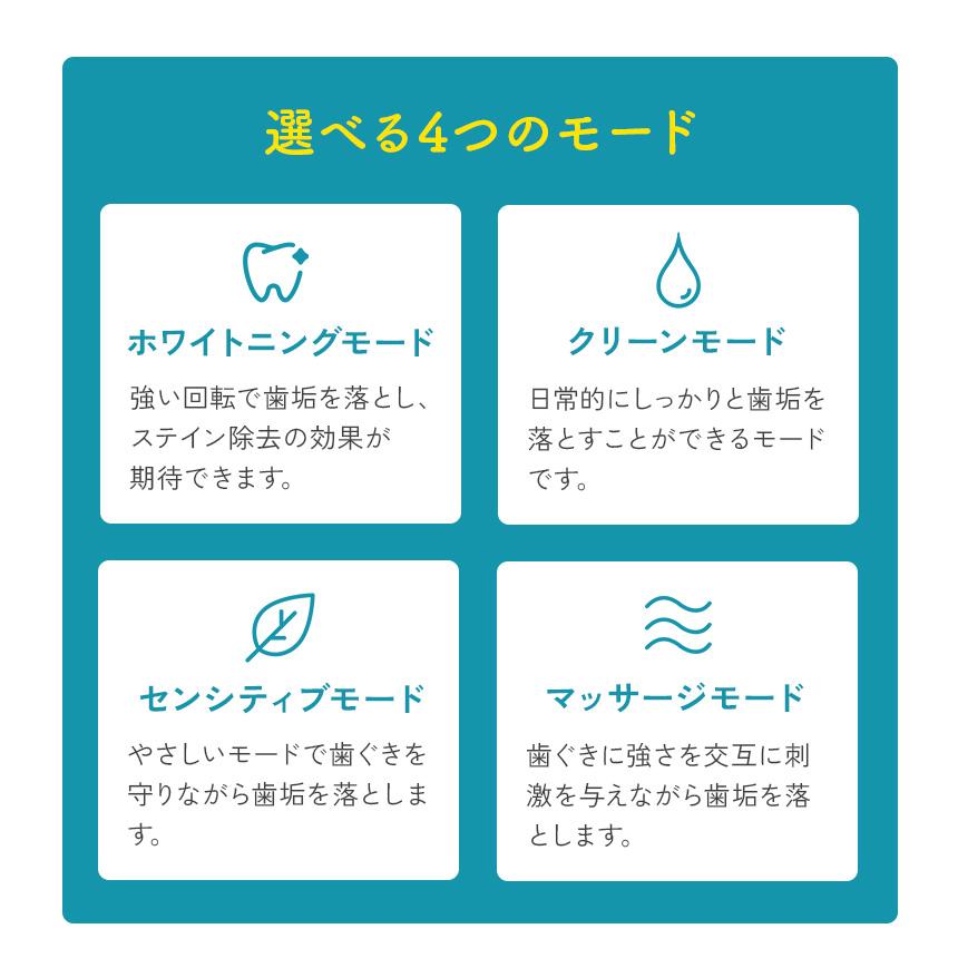電動歯ブラシ 充電式 替えブラシ 10本付き セット 音波振動 軽量 静音 防水 子供 音波歯ブラシ ロイヤルソニック CRYSTAL クリスタル 80007-12 | ワイドシステム | 03