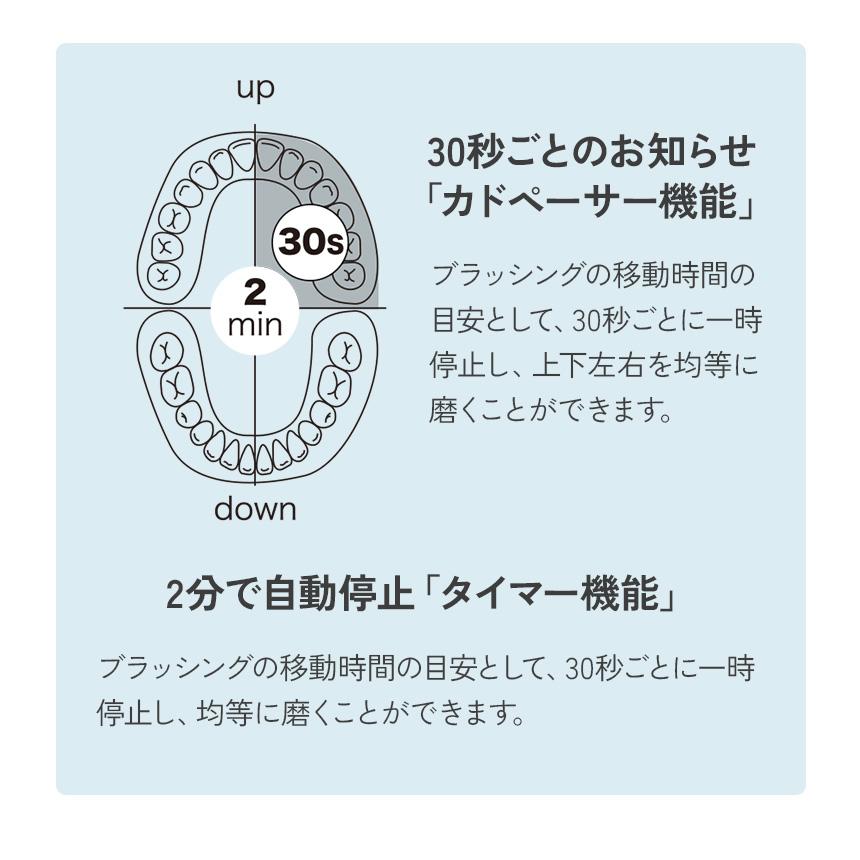電動歯ブラシ 充電式 替えブラシ 10本付き セット 音波振動 軽量 静音 防水 子供 音波歯ブラシ ロイヤルソニック CRYSTAL クリスタル 80007-12 | ワイドシステム | 06