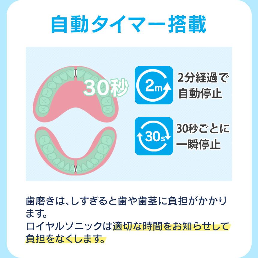 ワイドシステム 電動歯ブラシ 充電式 替えブラシ10本付き 音波振動 