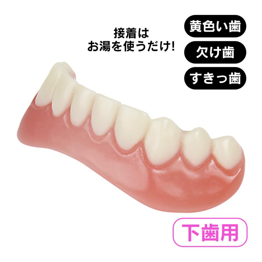 入れ歯 下の歯 下歯用 付け歯 前歯 義歯 歯の悩み 脱着 黄ばみ歯 欠け