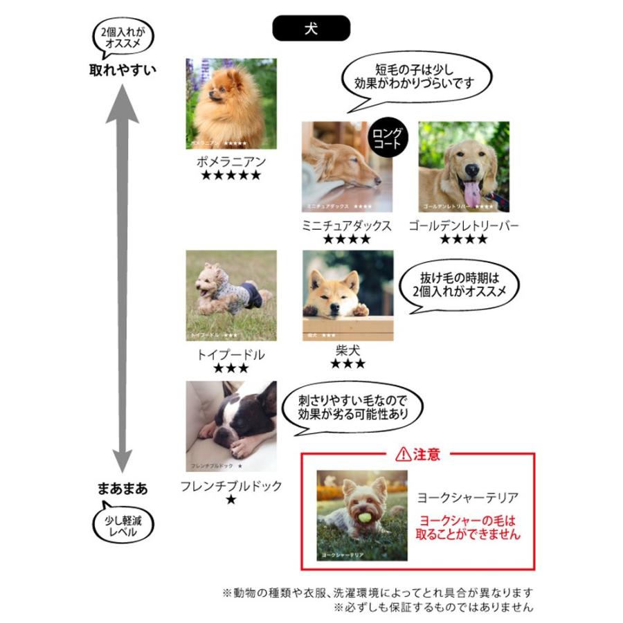 開店祝い リオニマル フリーランドリー プロ 2個入り 通販 ランドリースポンジ 毛取り ペット 犬 イヌ 猫 ネコ 抜け毛対策 ゴミ取りスポンジ 予約aisocial アイソシアル FREELAUNDRY(フリーランドリー)