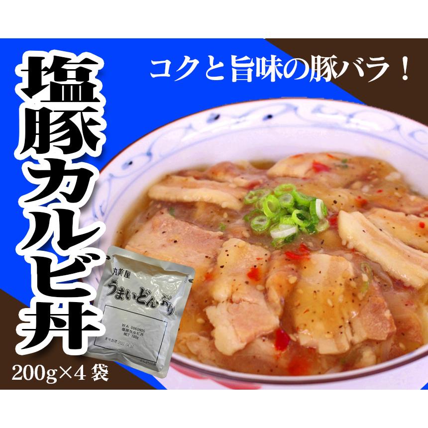 レトルト食品 丼 24袋セット 詰め合わせ 丸美屋 牛丼 中華丼 麻婆丼 塩カルビ丼 炭火焼き風とり丼 丼セット 大量セット どんぶり 常温保存 | ブランド登録なし | 06