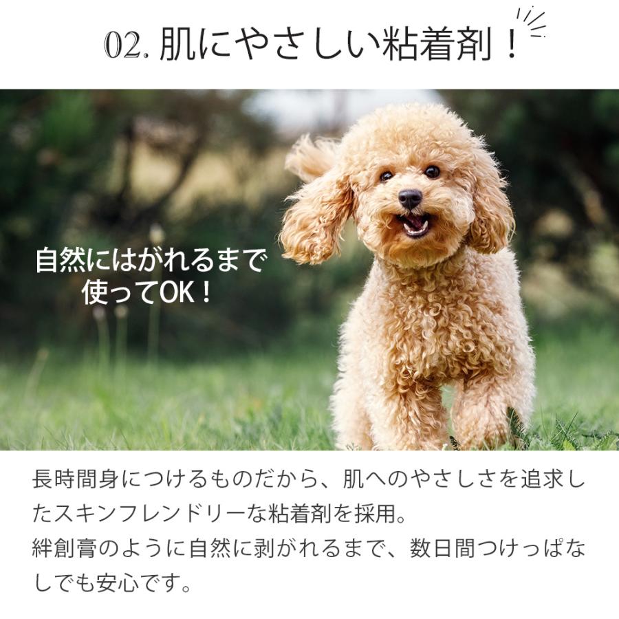 滑り止め 犬 ペット 肉球 シール お試し 20枚 ＼獣医師推奨／ PAW WING