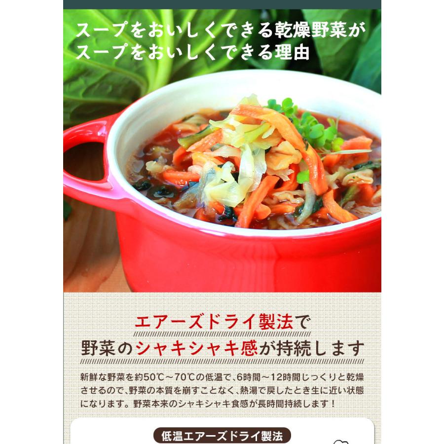 乾燥野菜 国産 乾燥野菜ミックス セット 九州産 野菜ミックス スーパー 栄養 ドライベジ ドライベジタブル 味噌汁の具 味噌汁 スープ 汁物 ラーメン 100g 2袋 定番人気