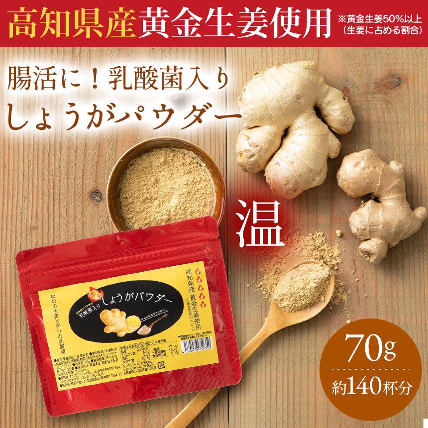 腸活 生姜パウダー ジンジャーパウダー 生姜粉末 粉末生姜 乾燥生姜 国産 ショウガオール しょうがパウダー 黄金生姜 整腸 乳酸菌入り 蒸し生姜 飲み物 辛い 11 暮らしの幸便 通販 Yahoo ショッピング