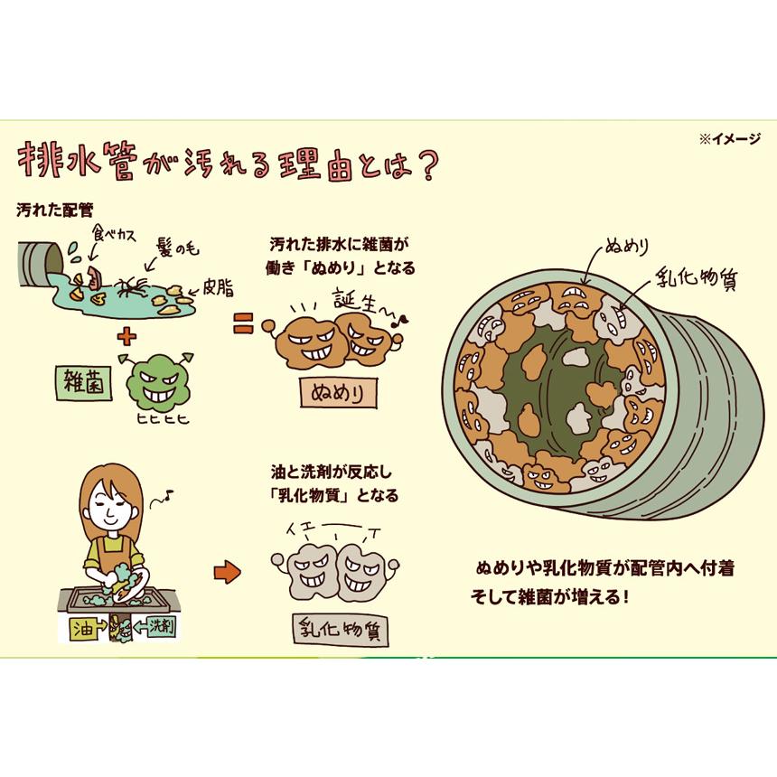 排水管洗浄液 バイオ  500ml 12袋組 つまり予防 排水管 排水溝 掃除 洗剤 配水管 詰まり 無臭 排水口 配管 家中 洗剤 強力 配管洗浄 配管洗浄剤 家庭用 業務用｜wide｜04