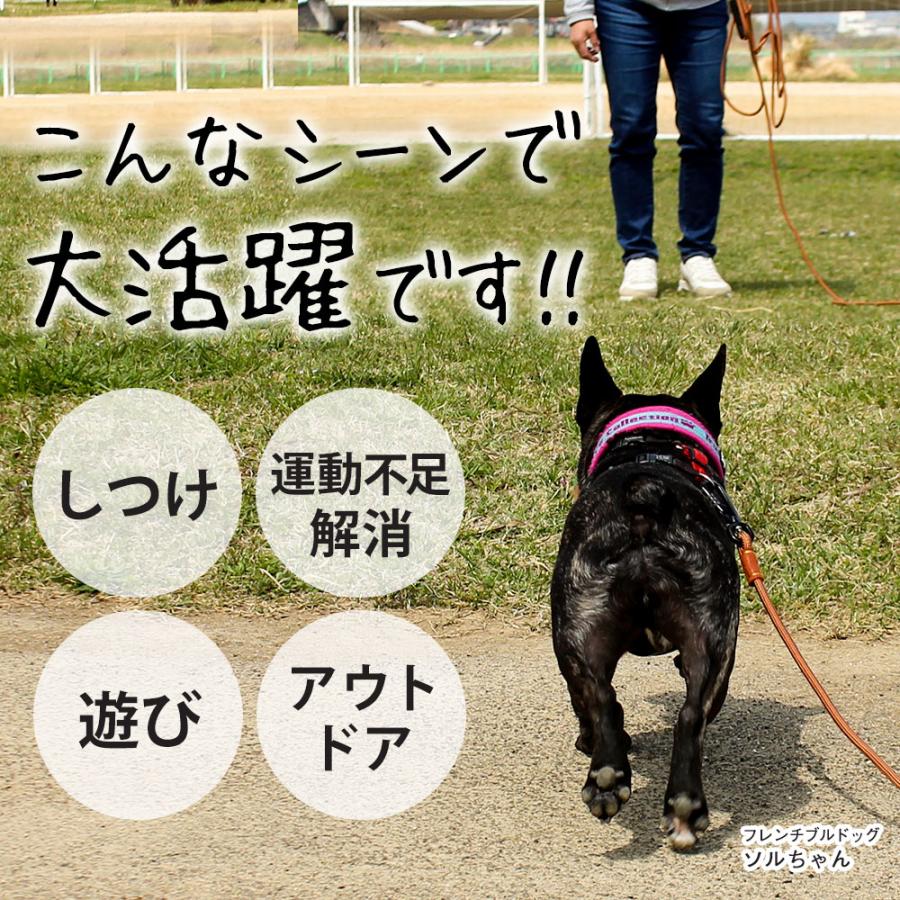 ロングリード 20m bow&mew 大型犬 中型犬 小型犬 【カラビナが外れない