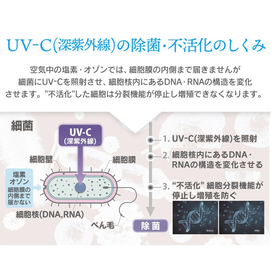 【10%還元】サンカ UV-C 除菌 空気清浄機 5畳用 SAP-1100 小型 除菌 除菌ランプ 脱臭 ホコリ 花粉 集じん 匂い におい 除去 脱臭 紫外線 | ブランド登録なし | 09
