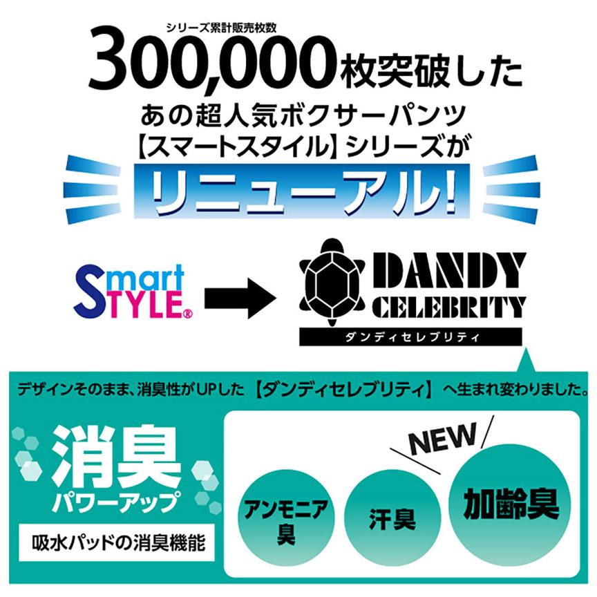 在庫限り 尿漏れパンツ 蒸れない メッシュ 夏用 男性 通気性 メンズ 夏 吸水量約15cc 失禁パンツ 消臭 3枚組 ボクサーパンツ 前開き 軽失禁 【STK】 | ブランド登録なし | 01