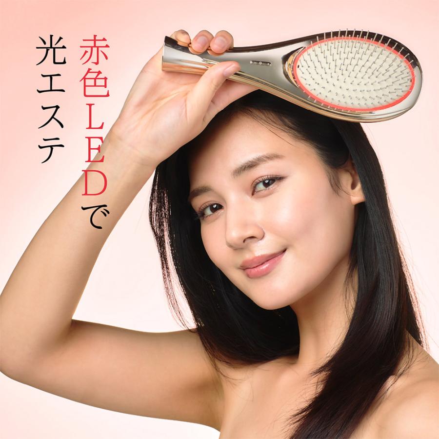電気ブラシ EMSブラシ WAVE EMS 頭皮ケア ブラシエアー Brush Air