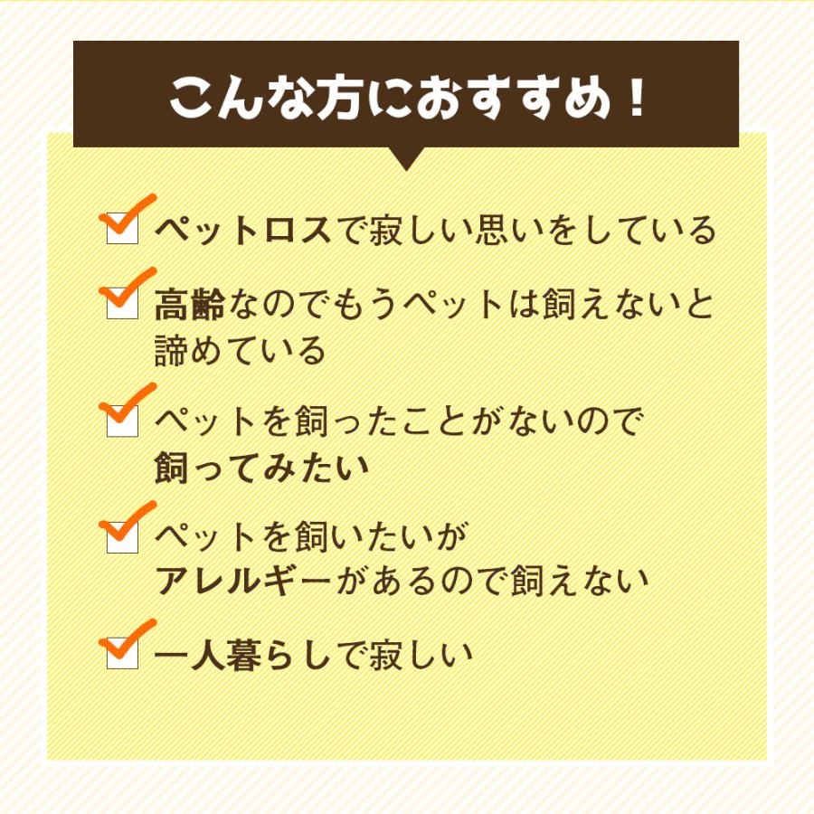 犬 ぬいぐるみ 会話 しゃべる 音声認識 人形 柴犬 コウタ 歌 かわいい 癒やし アラーム 高齢者 無料ラッピング プレゼント |  | 02