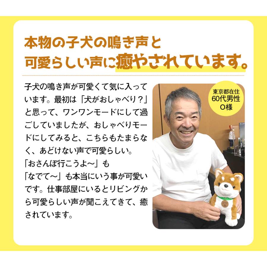 犬 ぬいぐるみ 会話 しゃべる 音声認識 人形 柴犬 コウタ 歌 かわいい 癒やし アラーム 高齢者 無料ラッピング プレゼント |  | 08