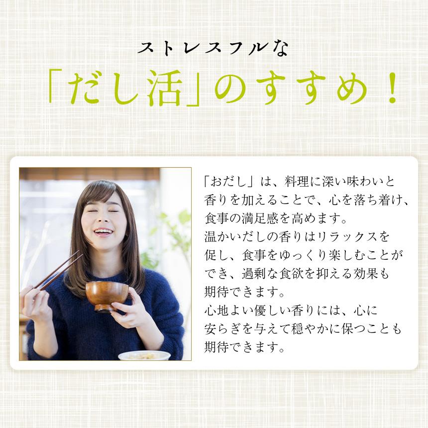 365毎日おだし〈袋〉 mizunoto 国産 粉末 出汁 だし 和風 パウダー 食塩不使用 無塩 酵母エキス 保存料 | ブランド登録なし | 13